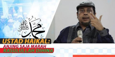 USTAD HAIKAL: ANJING SAJA MARAH RASULULLAH DIHINA