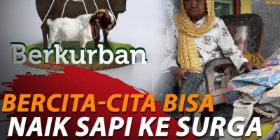 Nabung 15 Tahun Untuk Kurban Sapi
