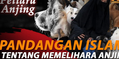 Perempuan Bercadar Pelihara Anjing