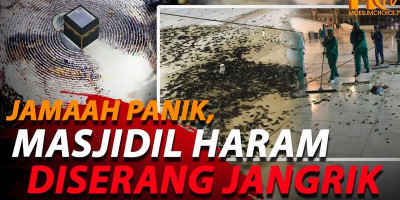 Bikin Geger! Ribuan Jangkrik Serbu Masjidil Haram