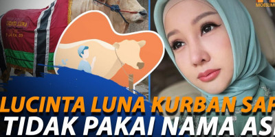 Jelang Idul Adha, Lucinta Luna Kurban Sapi